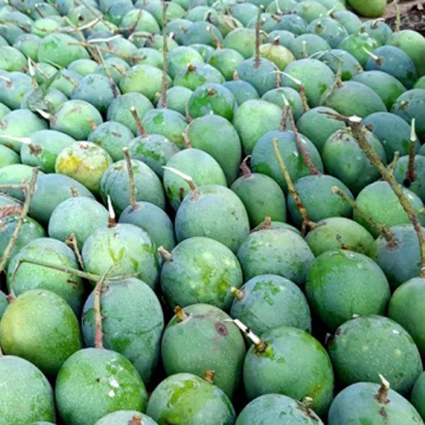 হিম সাগর